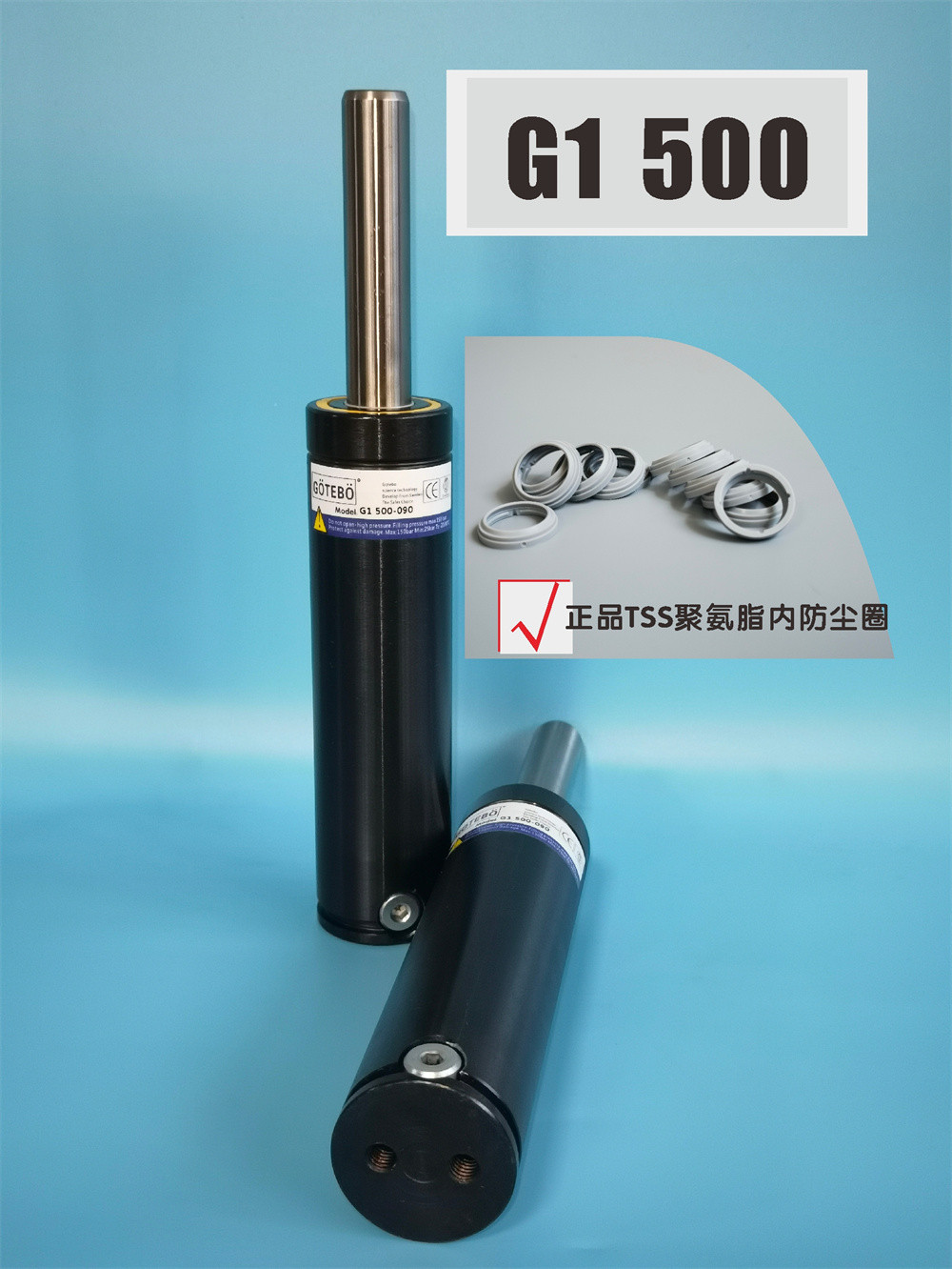 G1 500国际标准型产品可与TU500 RG500 GSE DNA BKB MQB替换